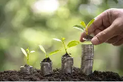 王腾离职风波：多平台账号接连消失，背后有何隐情？