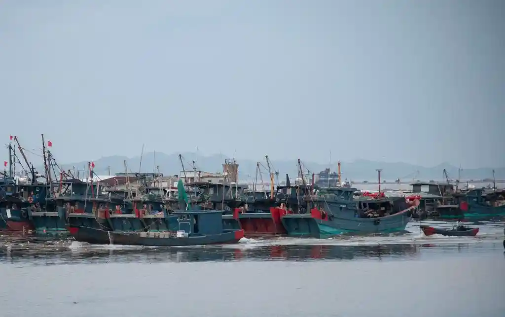 潮州一线直击：台风杨柳来袭，全民备战显担当