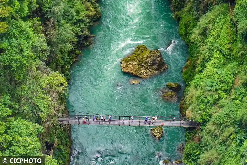水畔静坐，等风来：一场视觉与心灵的清凉之旅