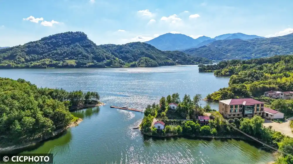 水畔静坐,等风来:一场视觉与心灵的清凉之旅