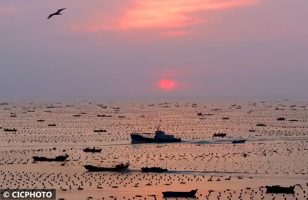 水畔静坐,等风来:一场视觉与心灵的清凉之旅