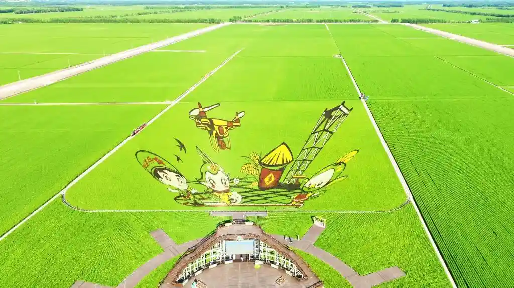 农艺点睛田园焕彩 北大荒绘就文旅融合新图景