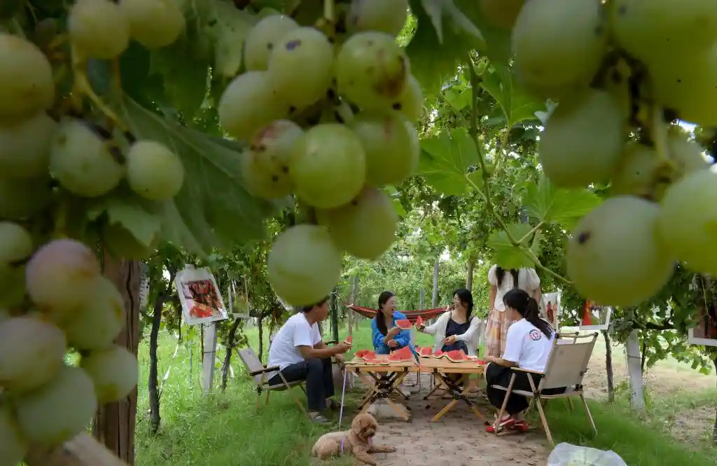 秋意初临：云收夏色，叶动新声