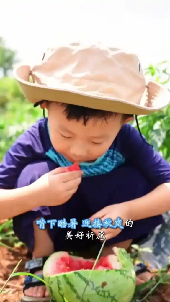 秋意初临:云收夏色,叶动新声