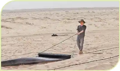 沙海绿洲梦：我的家乡我来造