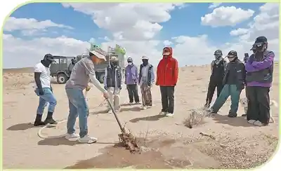沙海绿洲梦:我的家乡我来造